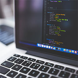 亚精产品一三三菠萝蜜