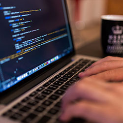 野花视频免费版中文字幕，野花视频免费版中文字幕在线观看