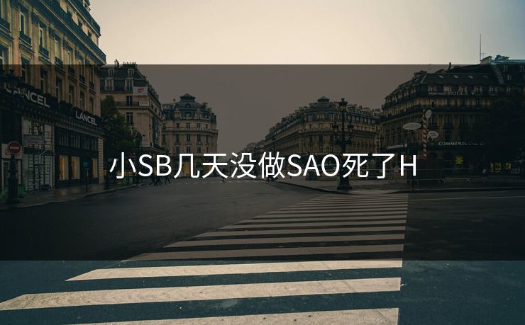 小SB几天没做SAO死了H