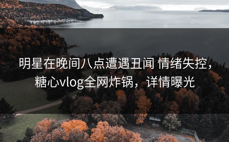 明星在晚间八点遭遇丑闻 情绪失控，糖心vlog全网炸锅，详情曝光